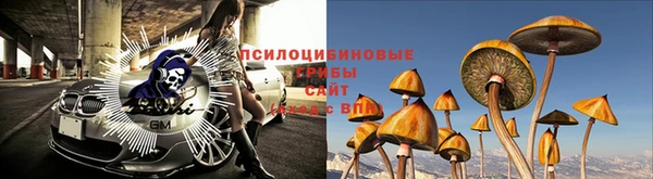 спиды Алзамай