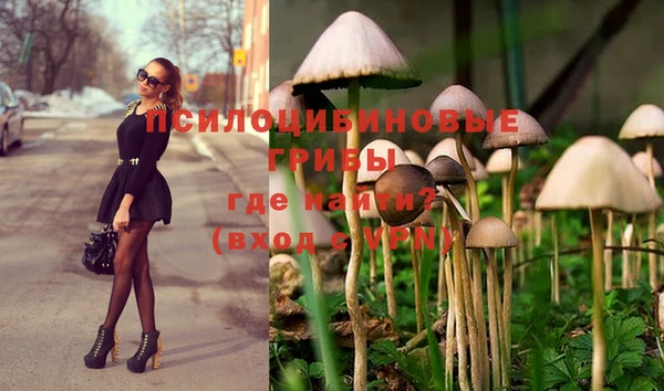 спиды Алзамай