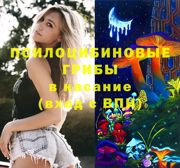 спиды Алзамай
