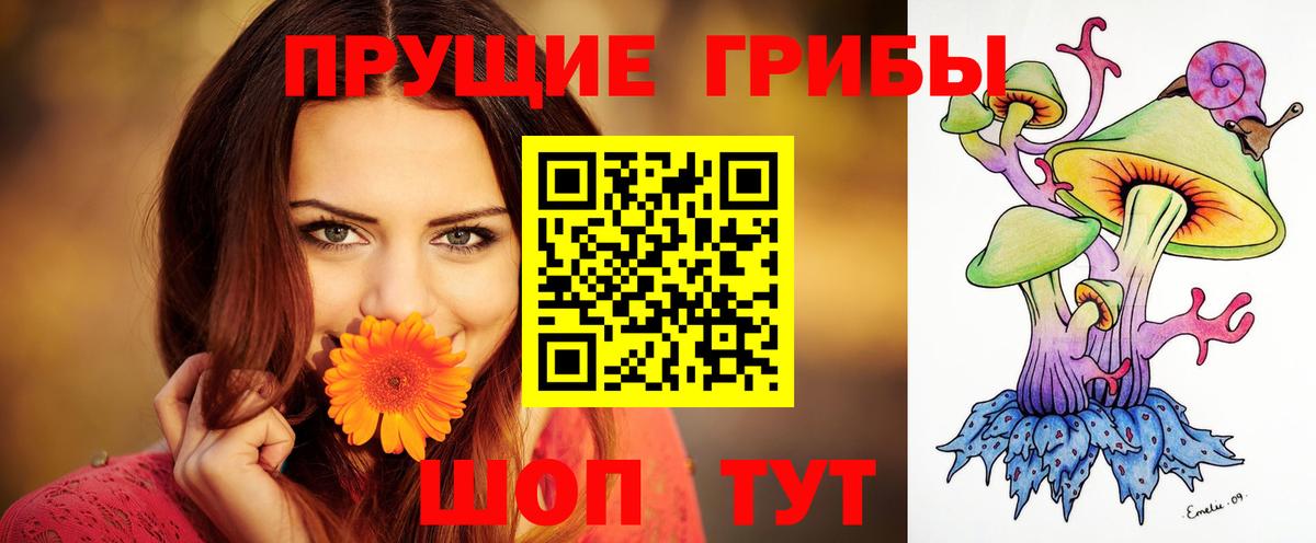Галлюциногенные грибы прущие грибы Димитровград