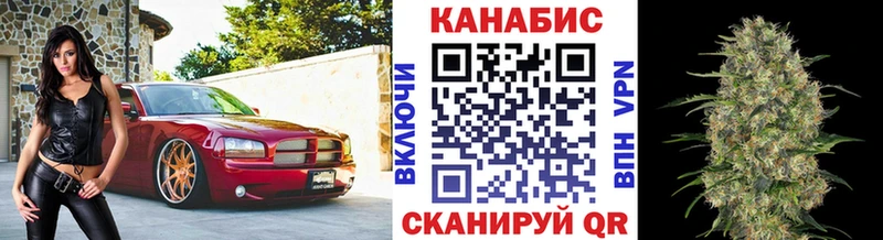 наркотики  Димитровград  нарко площадка официальный сайт  Конопля семена 